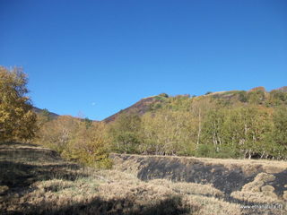 nti Sartorius-04-11-2012 09-34-24